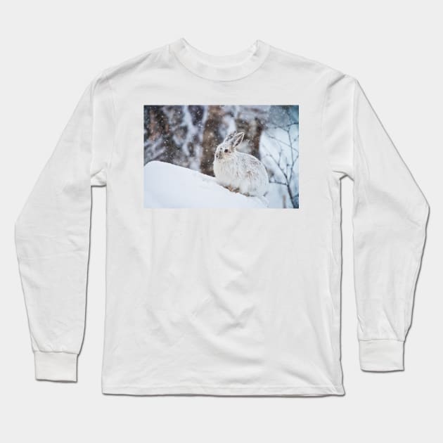 Snow Shoe Hare Long Sleeve T-Shirt by jaydee1400